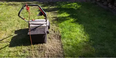 Skaryfikacja mechaniczna